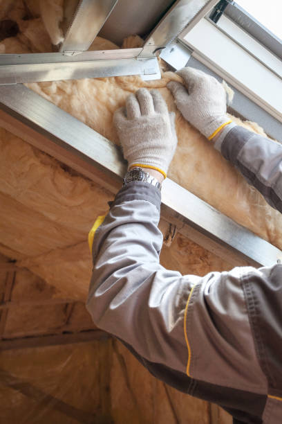 Best Cellulose Insulation in Pomona, NJ